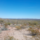 Illustration for article titled Trials Begin for Activists Charged After Leaving Food and Water for Migrants in Arizona Desert